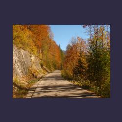 2012-10-20_Fall_AQUILA (44)b.JPG